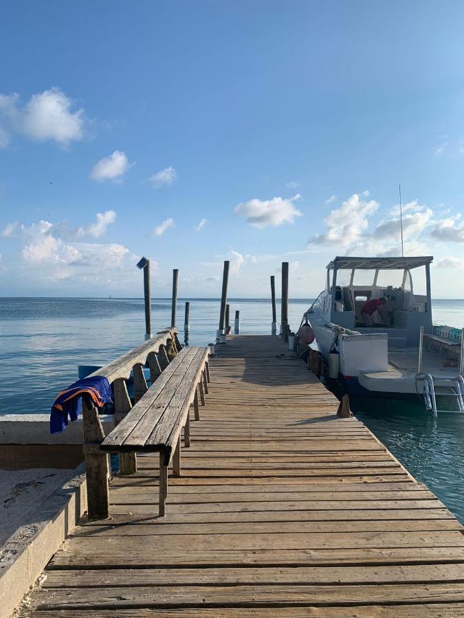 Paradise Divers Hotel Utila Ngoại thất bức ảnh